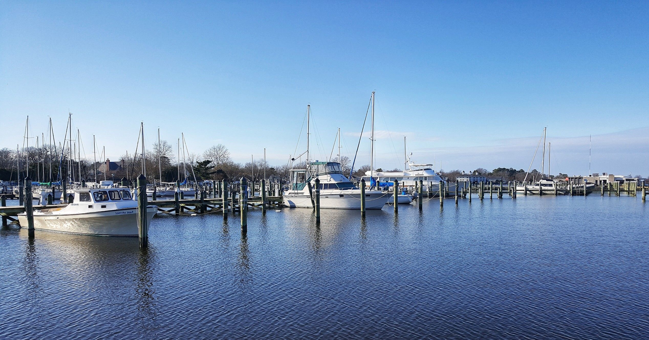 Dorchester County
